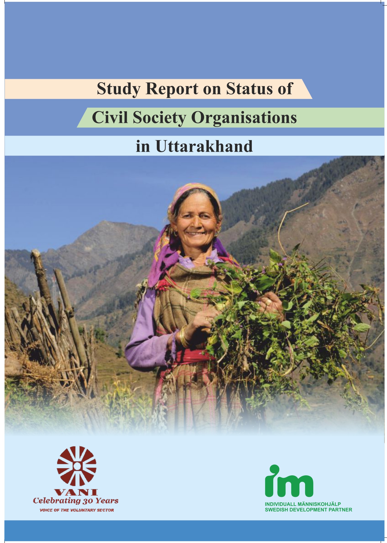 Status of CSOs in UK (English)