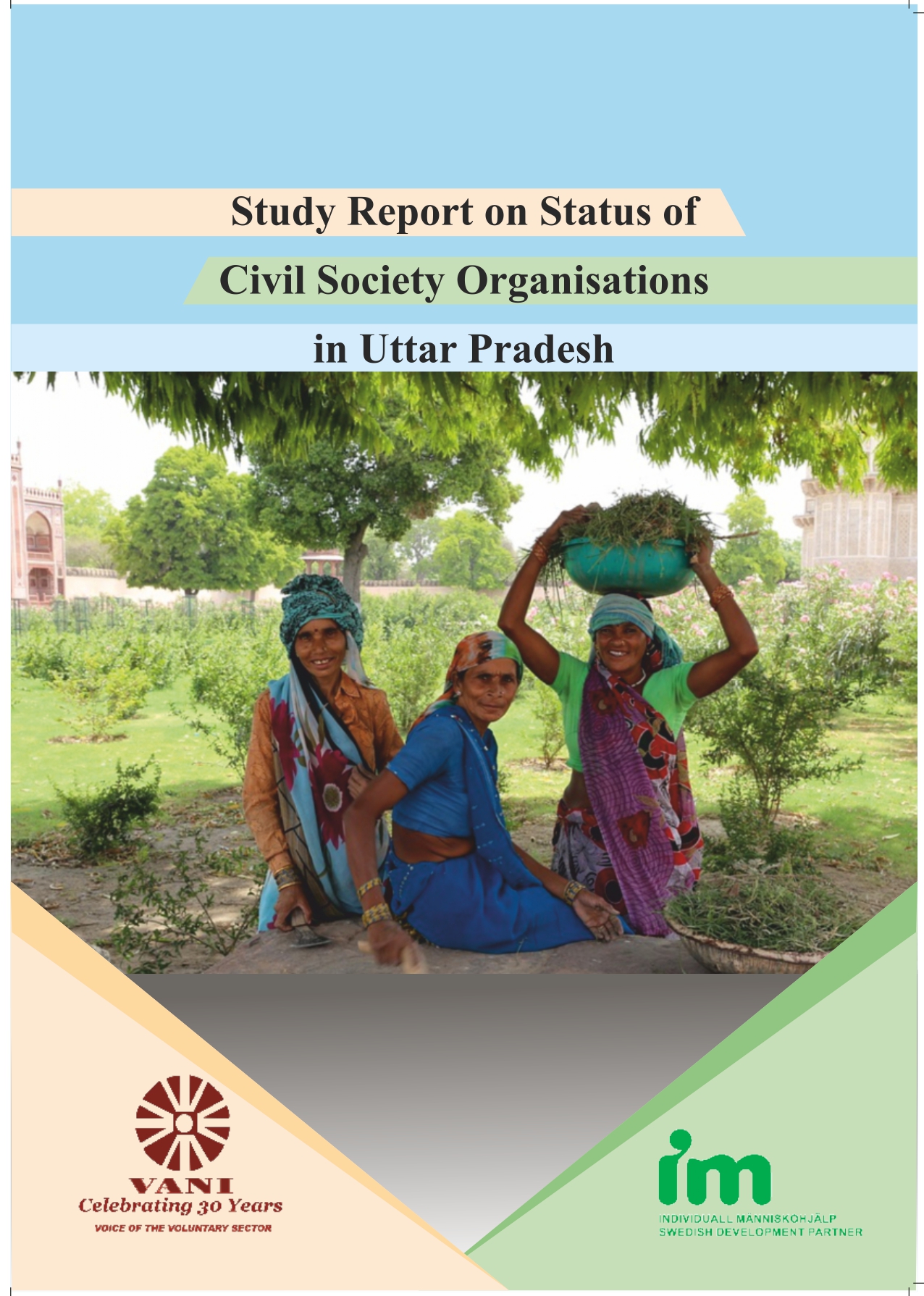 Status of CSOs in UP (English)